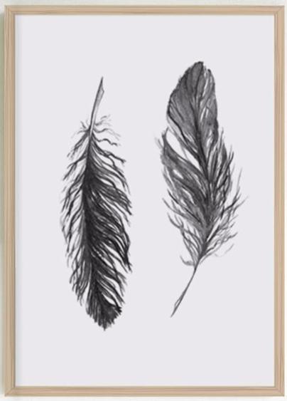 Black Feather Canvas