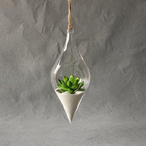 Transparent Hydroponic Flower Vase