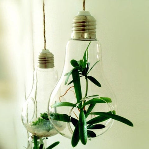 Lamp Bulb Shaped Flower Container