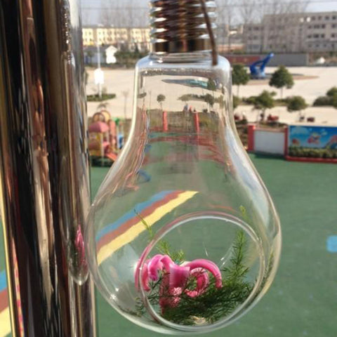 Lamp Bulb Shaped Flower Container
